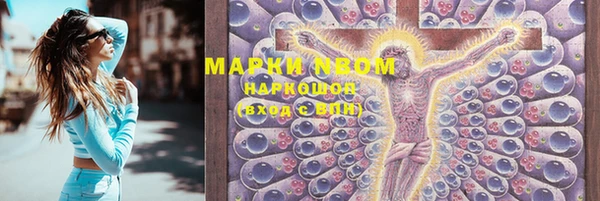 стафф Надым