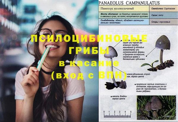 прущая мука Навашино